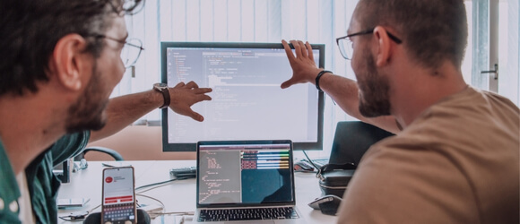 Business partners analyze website accessibility