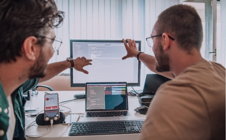 Business partners analyze website accessibility