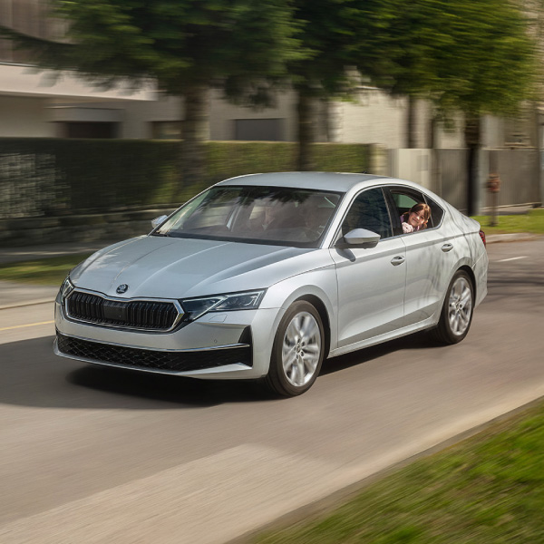 SKODA OCTAVIA gray car